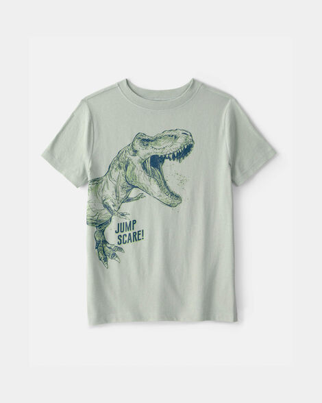 boys dinosaur graphic tee - green