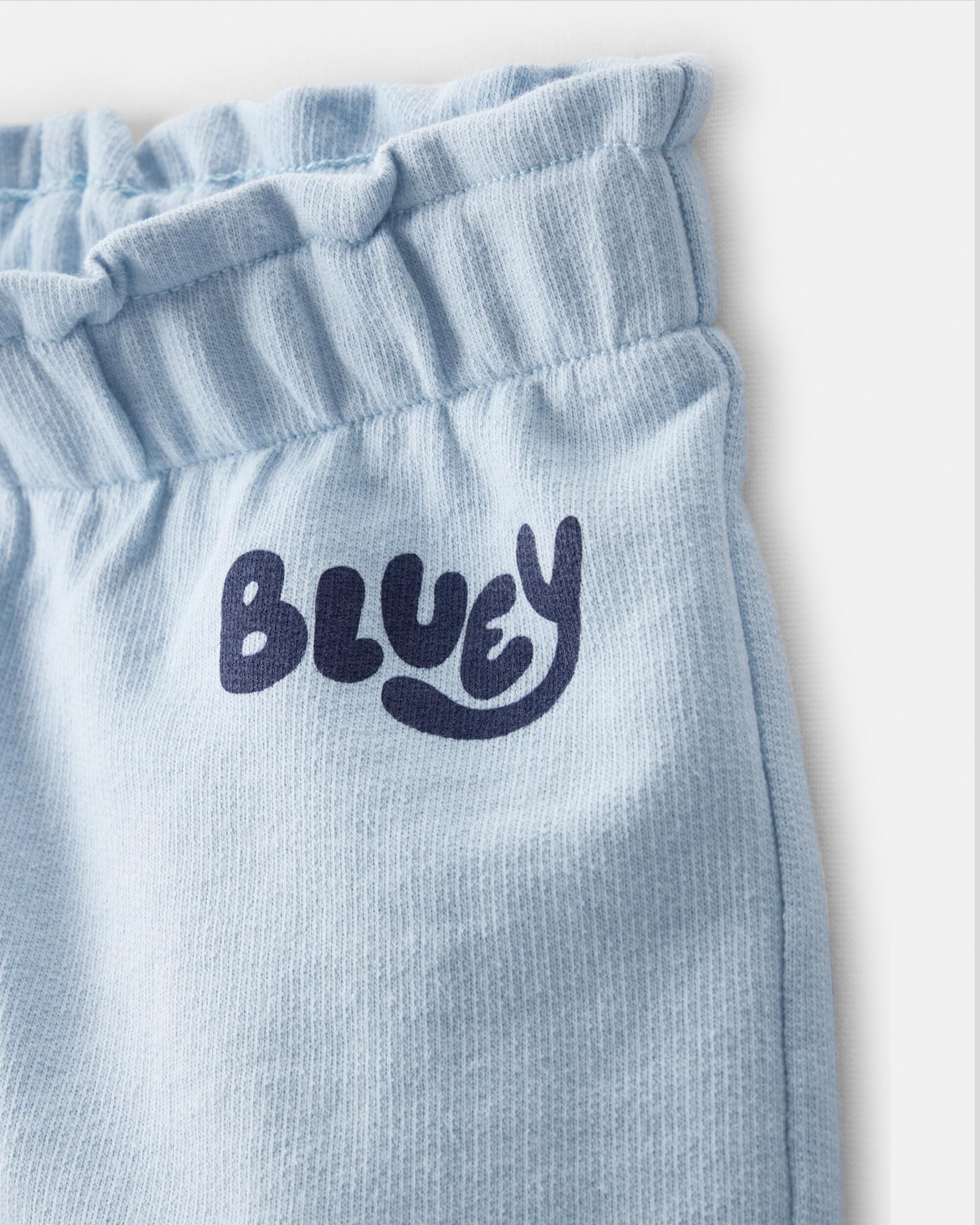 Toddler 2-Piece Bluey Outfit Set