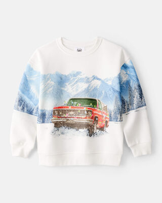 Boys Arizona Western Cotton Pullover Sweatshirt - Brown
