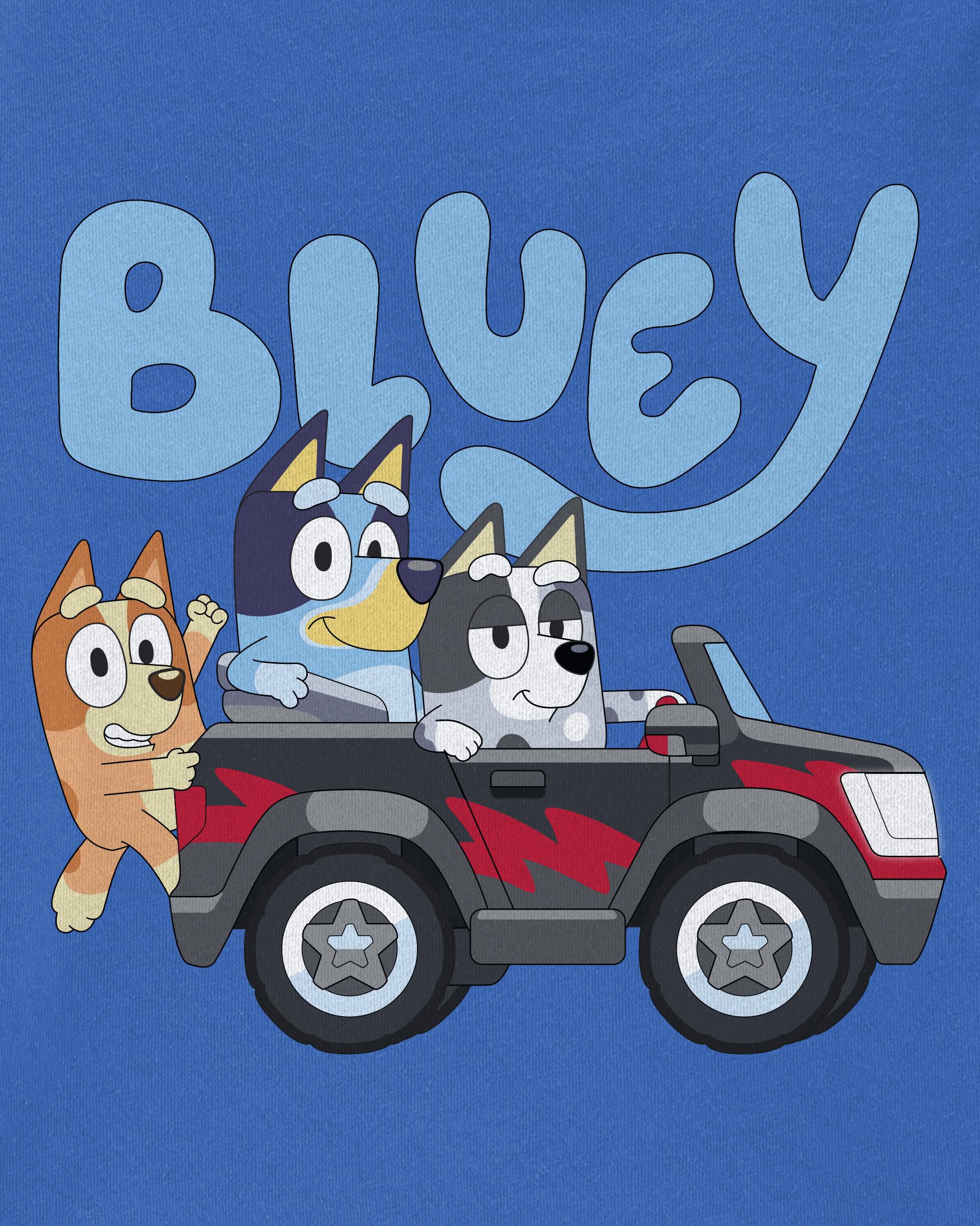 Bluey Fruit Flavored Snacks, Treat Pouches, Gluten Free