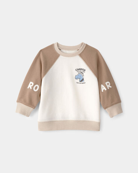 baby boy dinosaur french terry pullover sweatshirt - brown/ivory