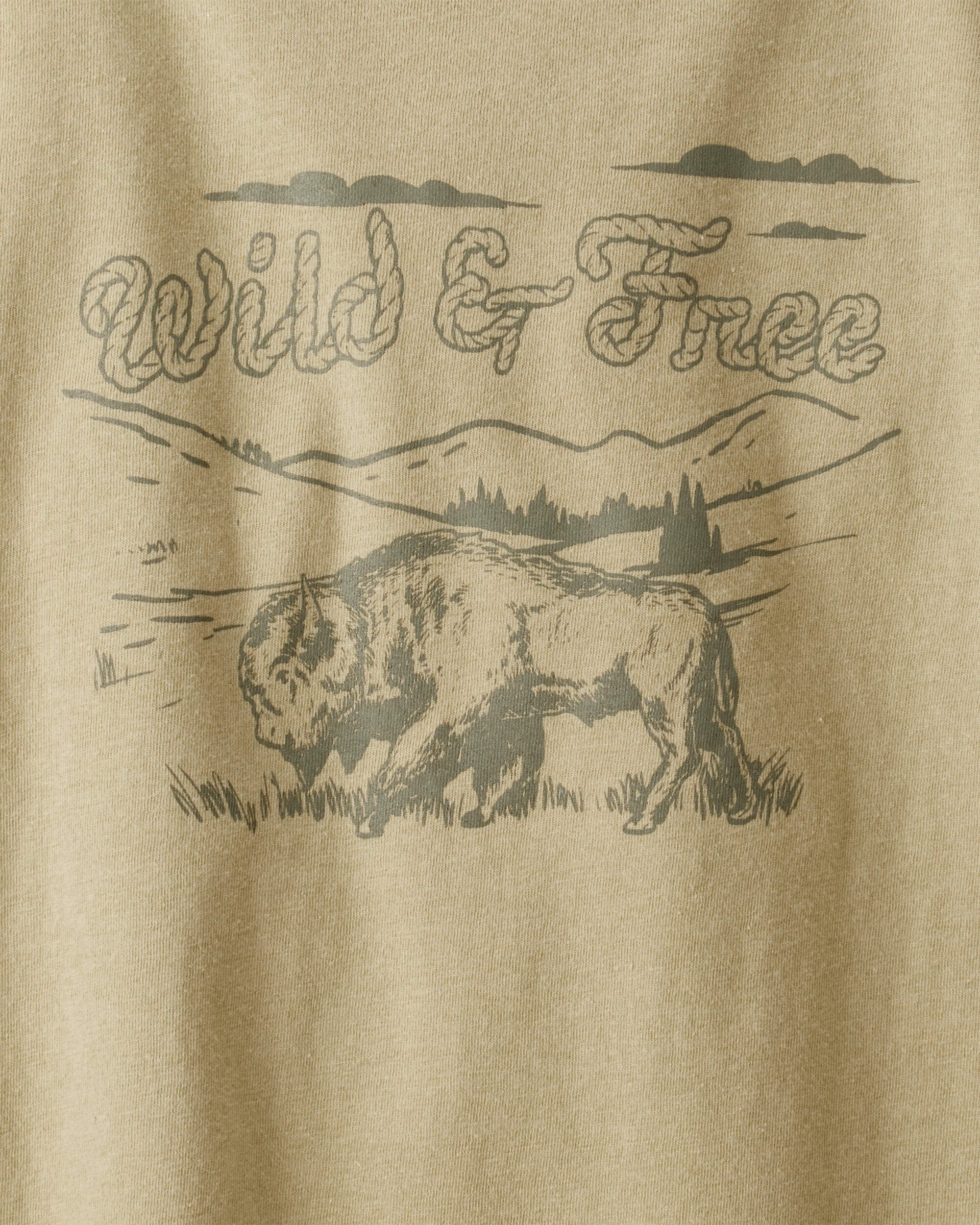 Boys Wild And Free Long-Sleeve Graphic Tee - Brown - OshKosh