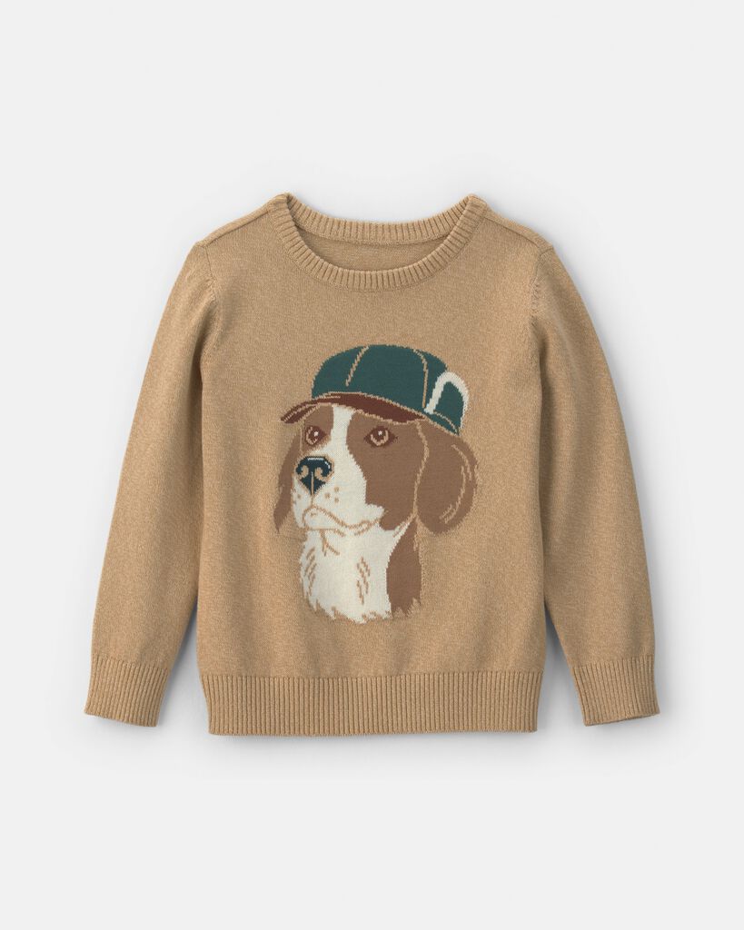 Carter's Little & Big Kid Boys Crew Neck Long Sleeve Pullover Sweater, 5, Brown