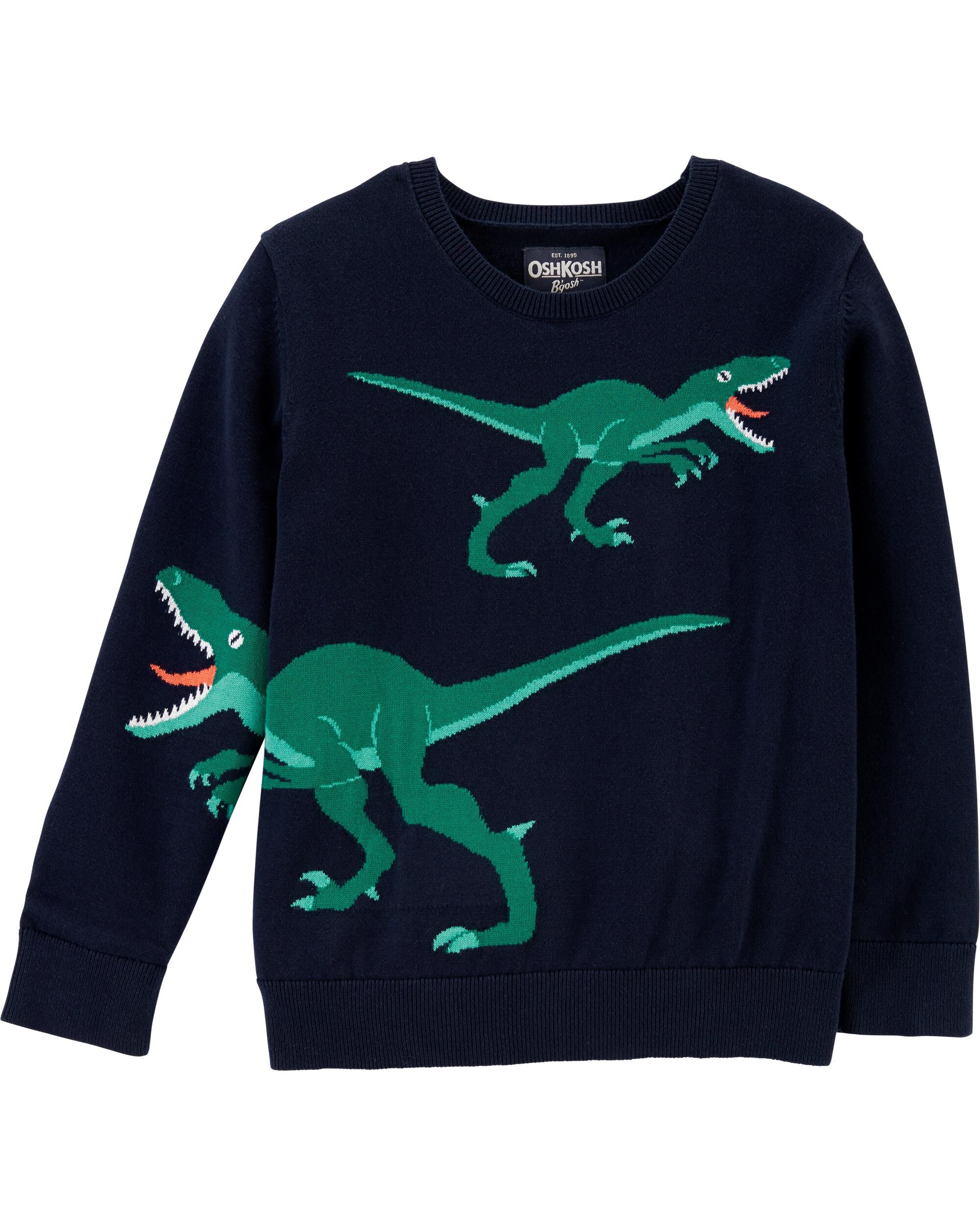 dinosaurs sweater