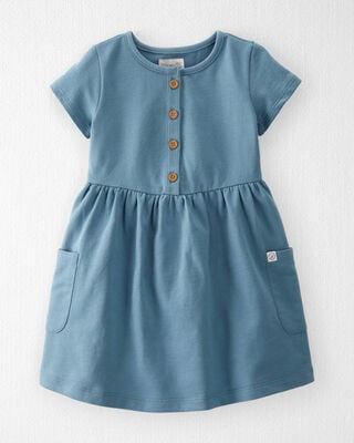 Product image 1 of Toddler Organic Cotton Pocket Dress in Cottage Blue