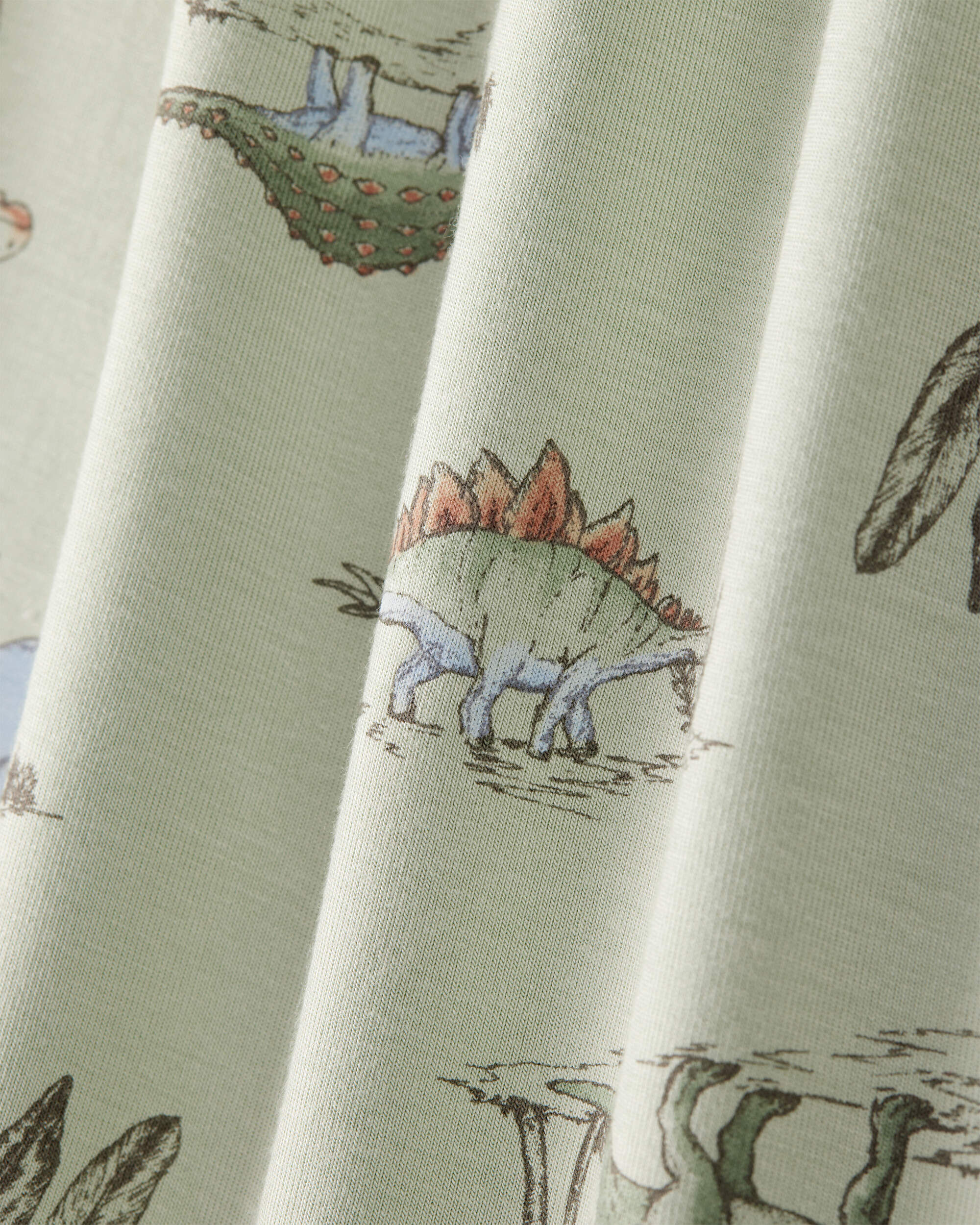 Boys Dinosaur Print PurelySoft Long-Sleeve 2-Piece Pajamas - Green