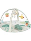 Multi - Garden Oasis Activity Gym, Selected