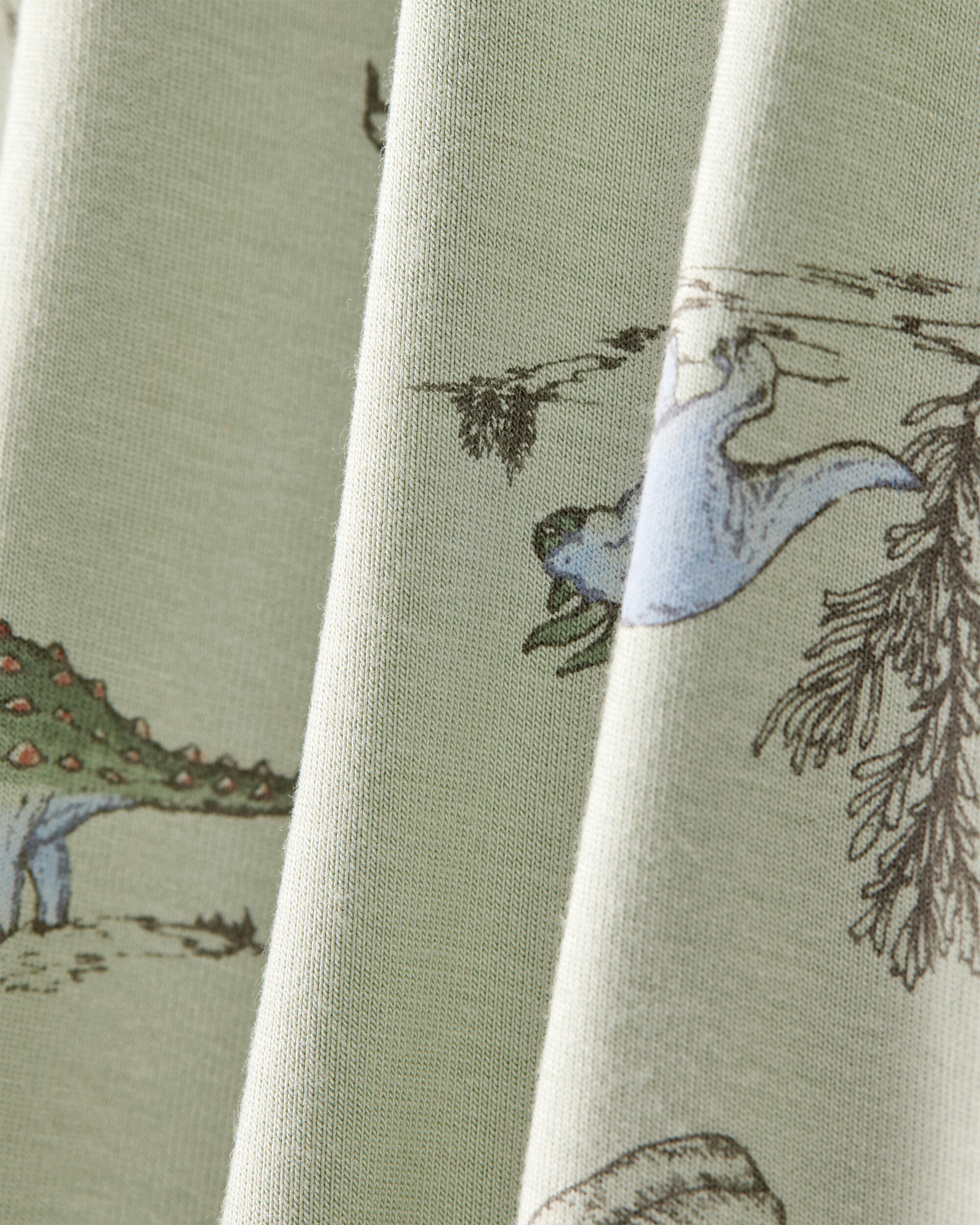 Baby Boy 2-Pack Dinosaur Print PurelySoft Pull-On Pants - Green