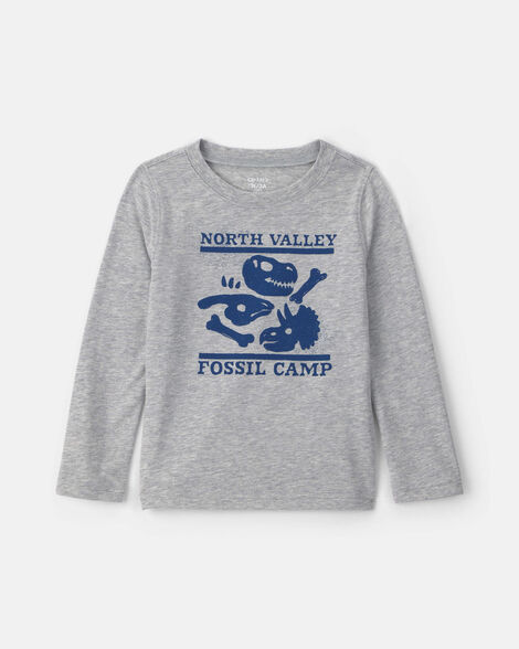 toddler boy 'north valley fossil camp' dinosaur long-sleeve graphic tee - grey