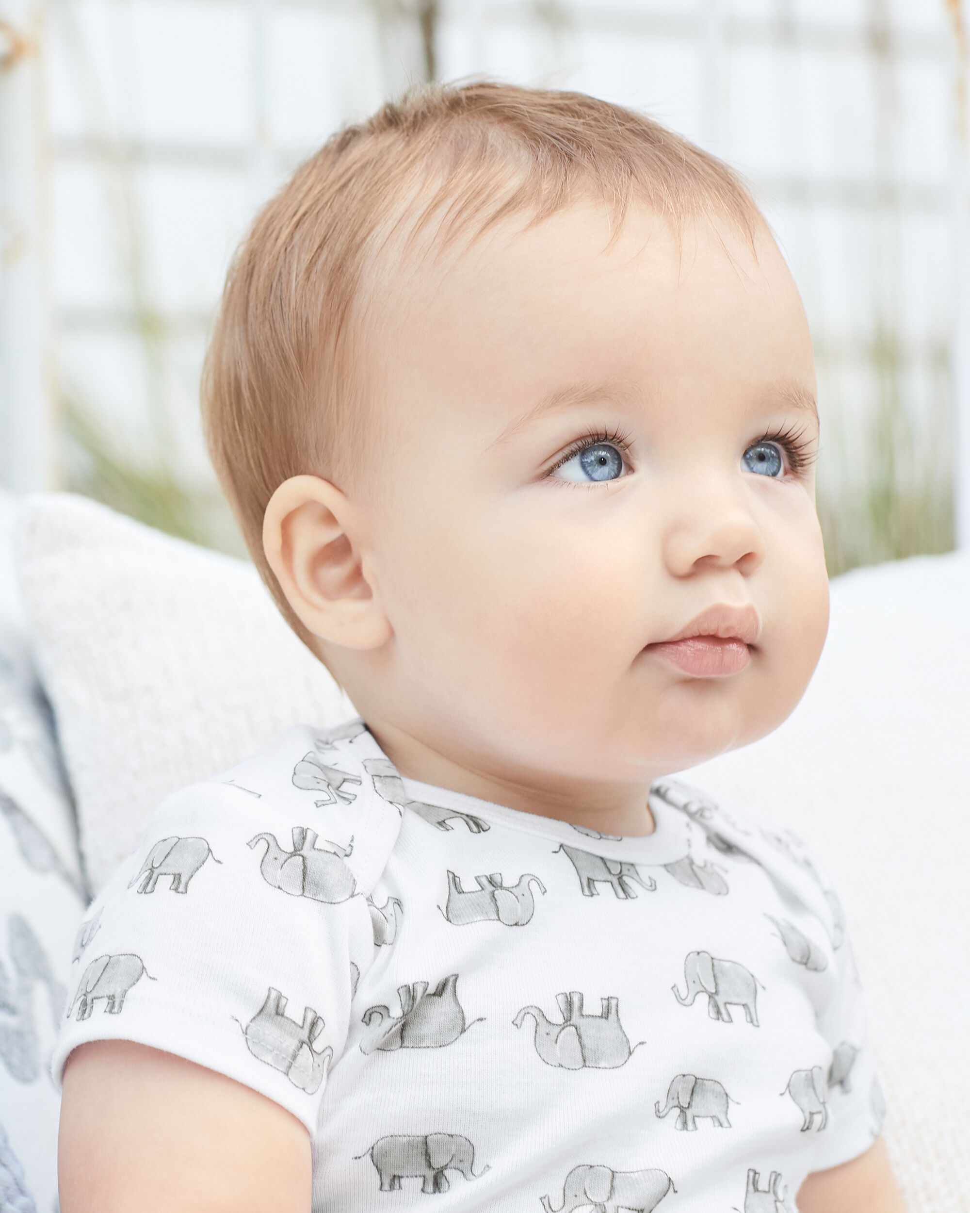 carter's organic bodysuit