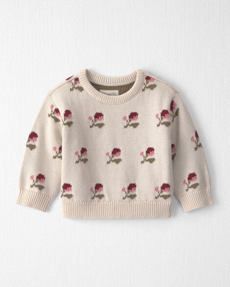Baby Organic Cotton Sweater Knit Pullover in Wildflower Maize