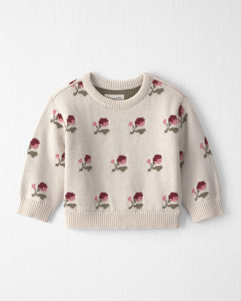 Baby Organic Cotton Sweater Knit Pullover in Wildflower Maize