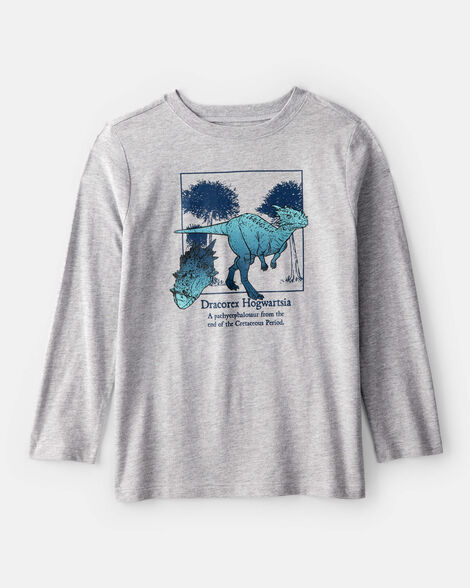 boys dinosaur long-sleeve graphic tee - grey