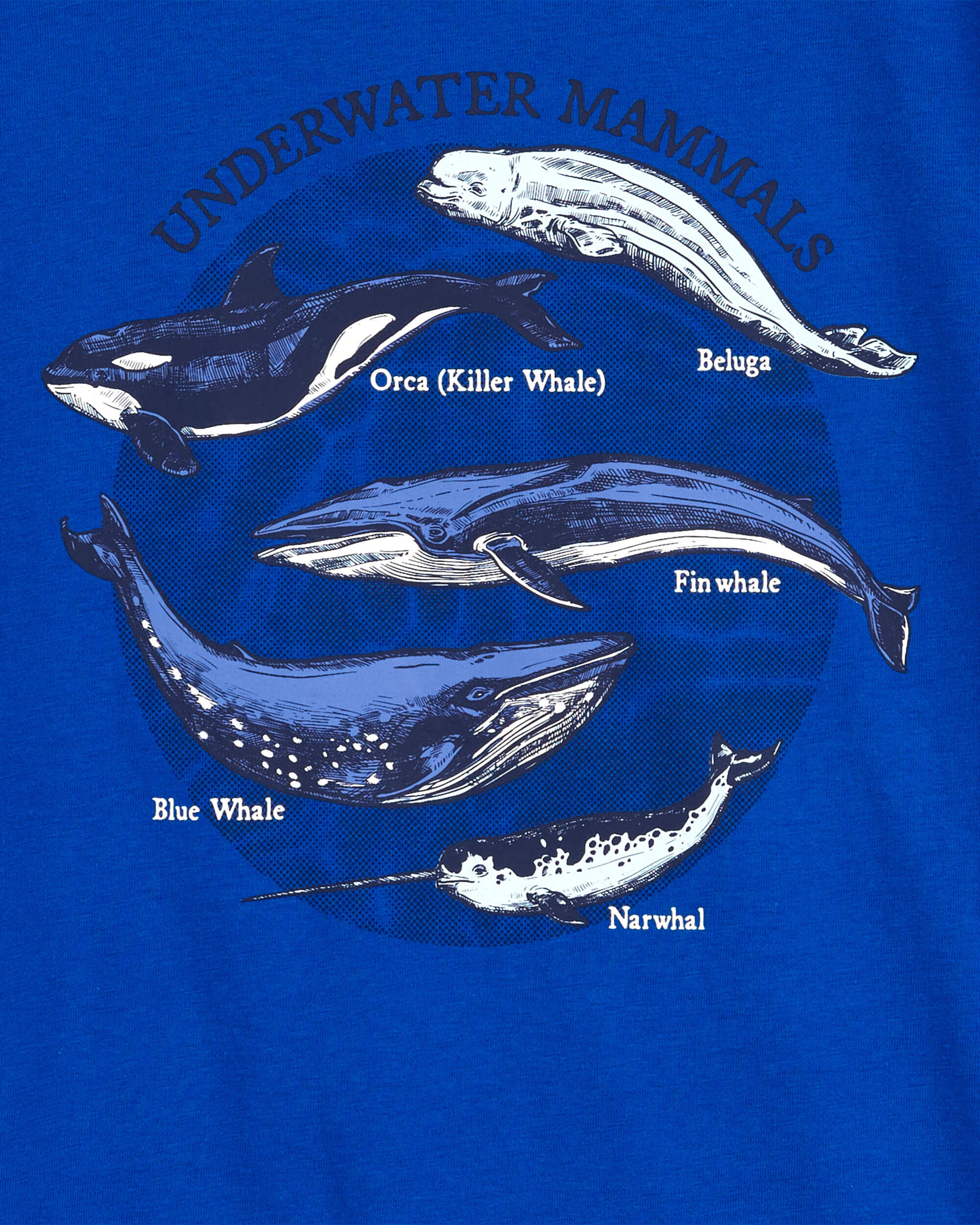 Kid Whale Graphic Tee - Carter's | Carter's
