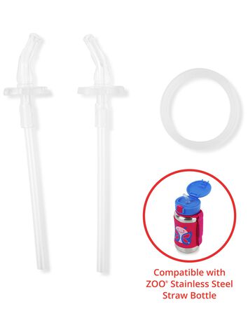Stainless Steel Straw Bottle Extra Straws - 2-Pack