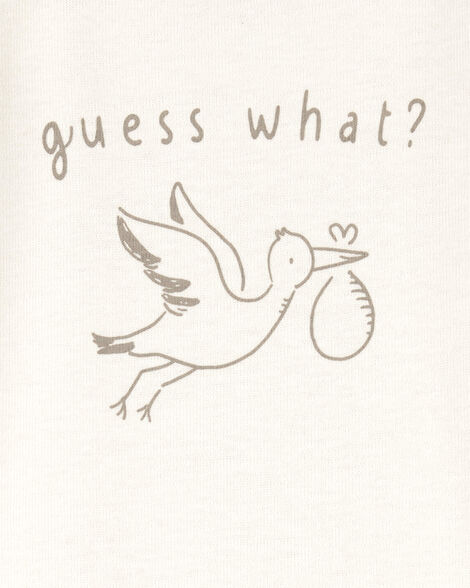 Baby Stork Announcement Bodysuit
