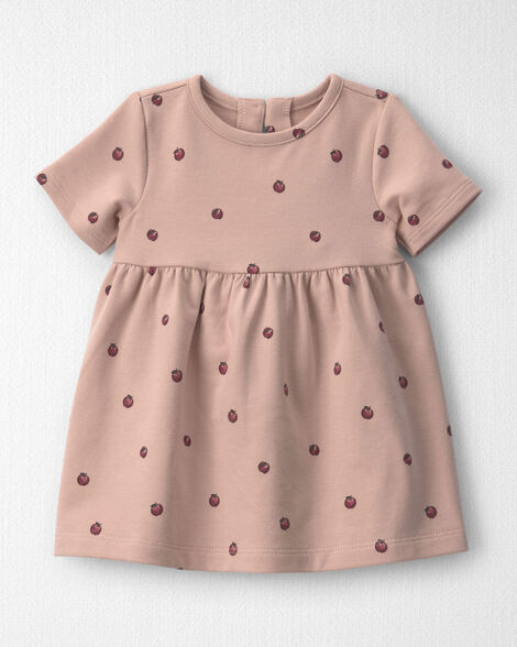 Baby Girl Organic Cotton French Terry Dress in Apples