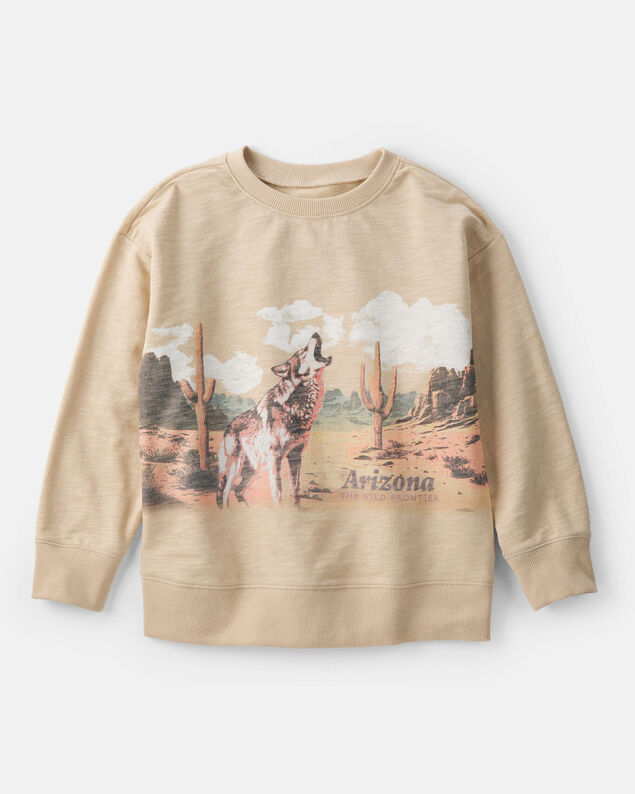 Product image 1 of Boys Arizona Western Cotton Pullover Sweatshirt - Brown
