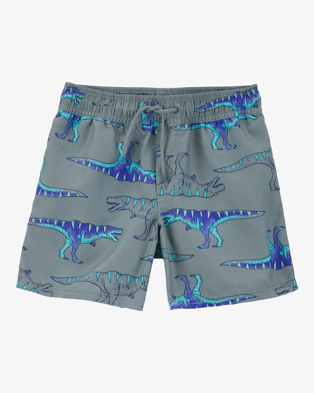 Product image 1 of Boys Dinosaur Swim Trunks - Grey