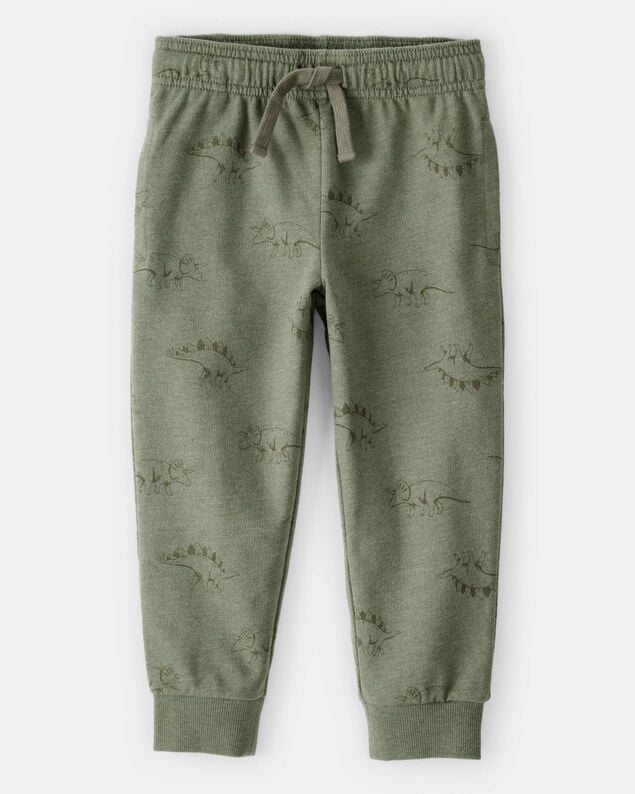 Product image 1 of Toddler Boy Dinosaur French Terry Jogger - Green