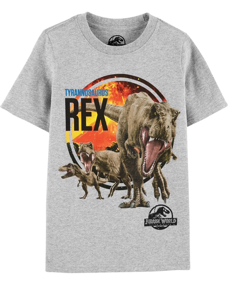 Jurassic World Tee Carters Com