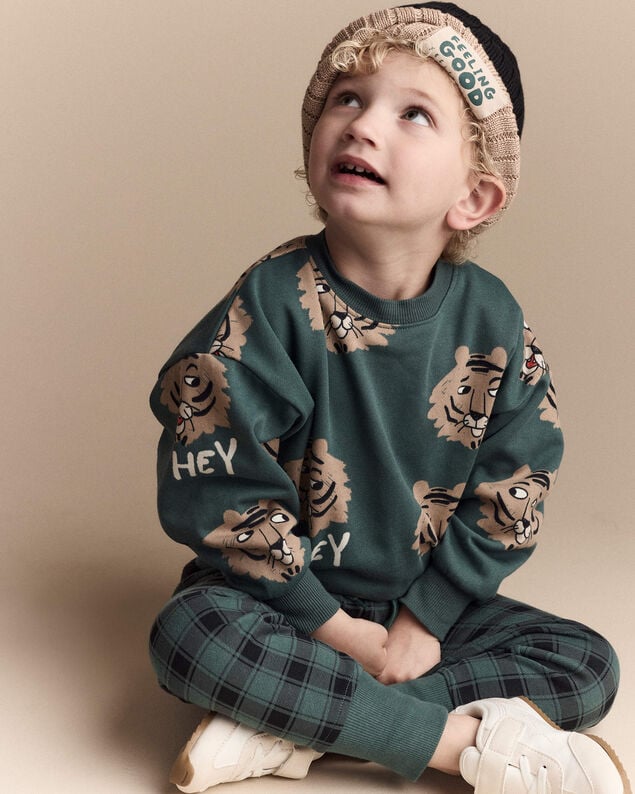Product image 1 of Toddler 'Hey' Tiger Dolman-Sleeve Sweatshirt - Green