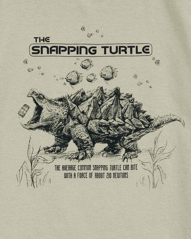 Product image 2 of Boys Turtle Short-Sleeve Graphic Tee - Grey