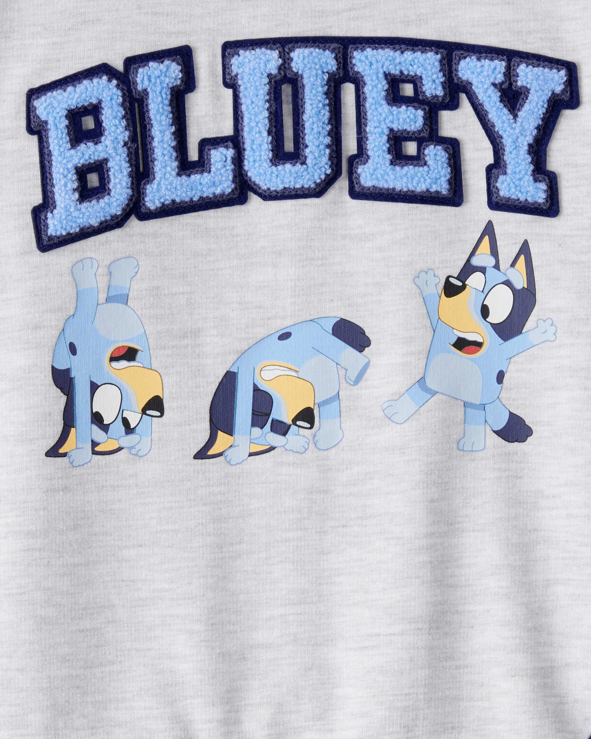 Toddler Boy Bluey Colorblock French Terry Sweatshirt - Grey