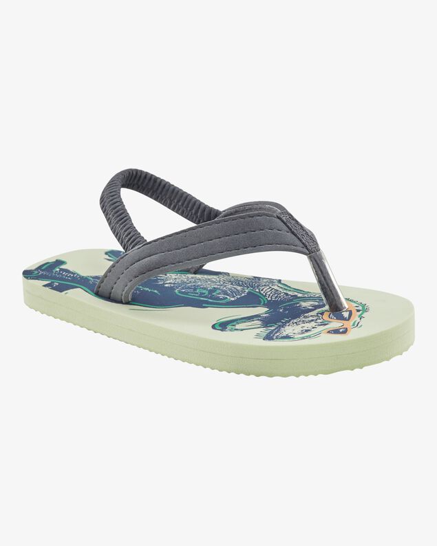 Product image 1 of Dinosaur Flip Flops