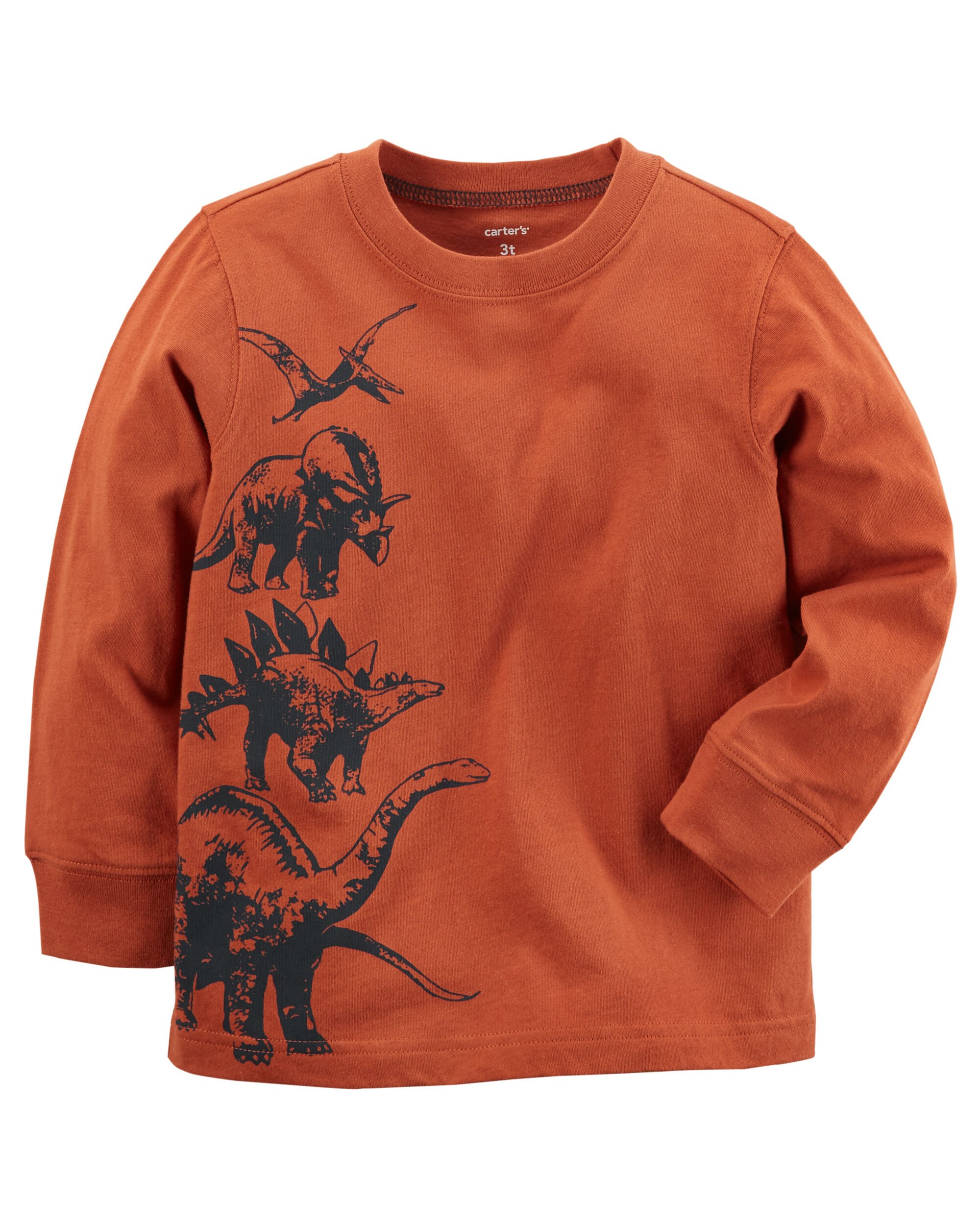 carters dinosaur shirt
