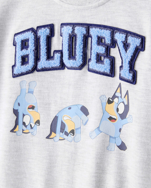 Product image 2 of Toddler Boy Bluey Colorblock French Terry Sweatshirt - Grey