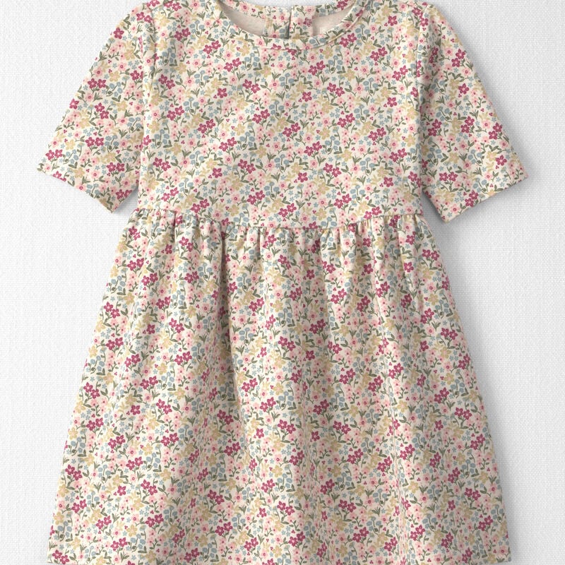 Toddler Girl Organic Cotton French Terry Dress in Floral
