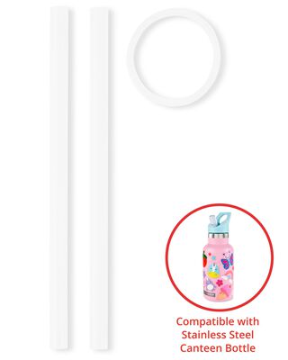 Product image 1 of Stainless Steel Canteen Bottle Extra Straws - 2-Pack