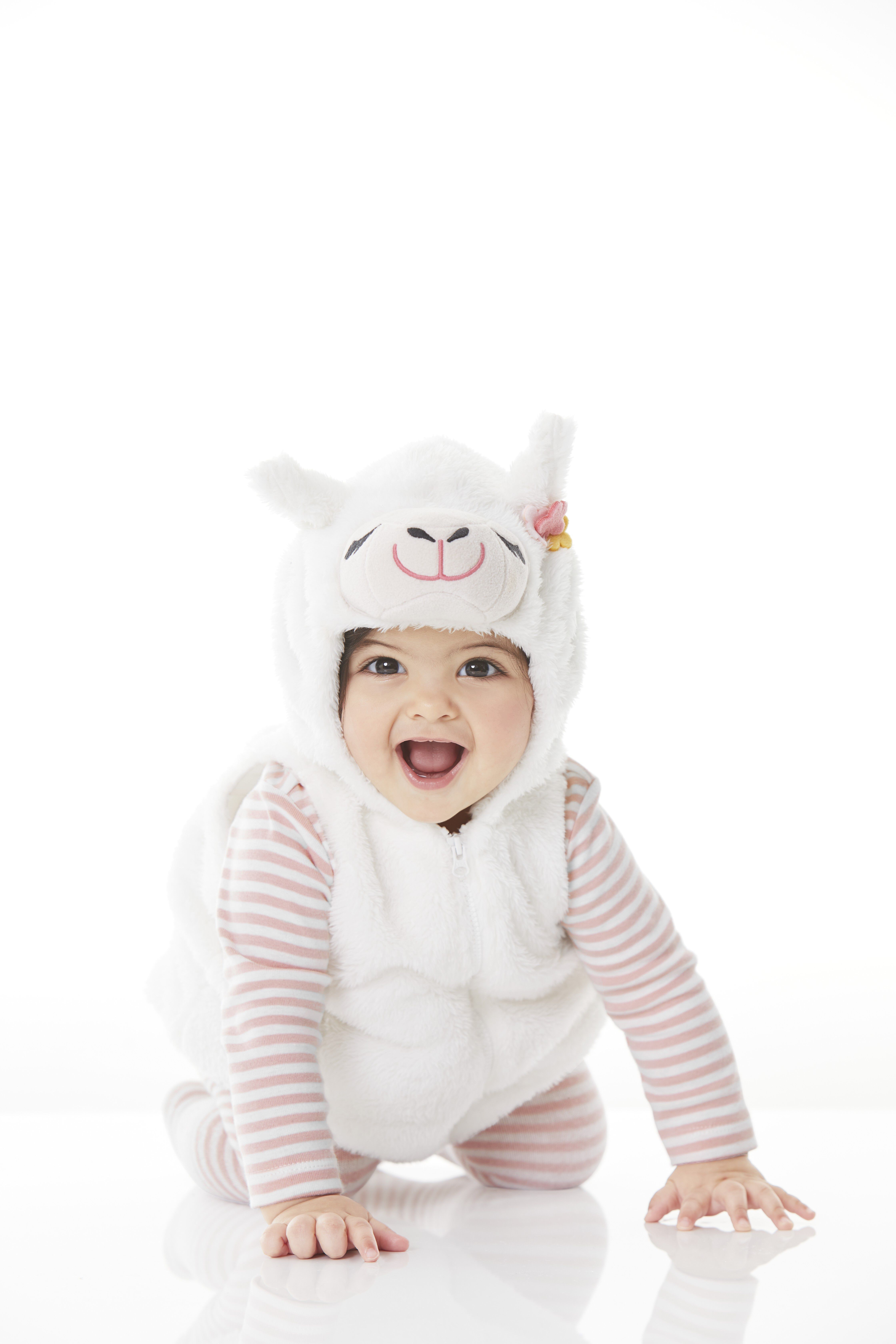 carters llama costume
