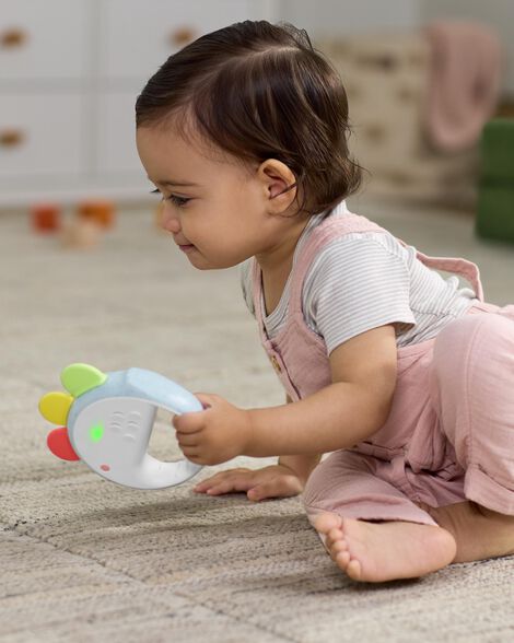  Product image 4 of Farmstand Feelin' Clucky Musical Tambourine Baby Toy