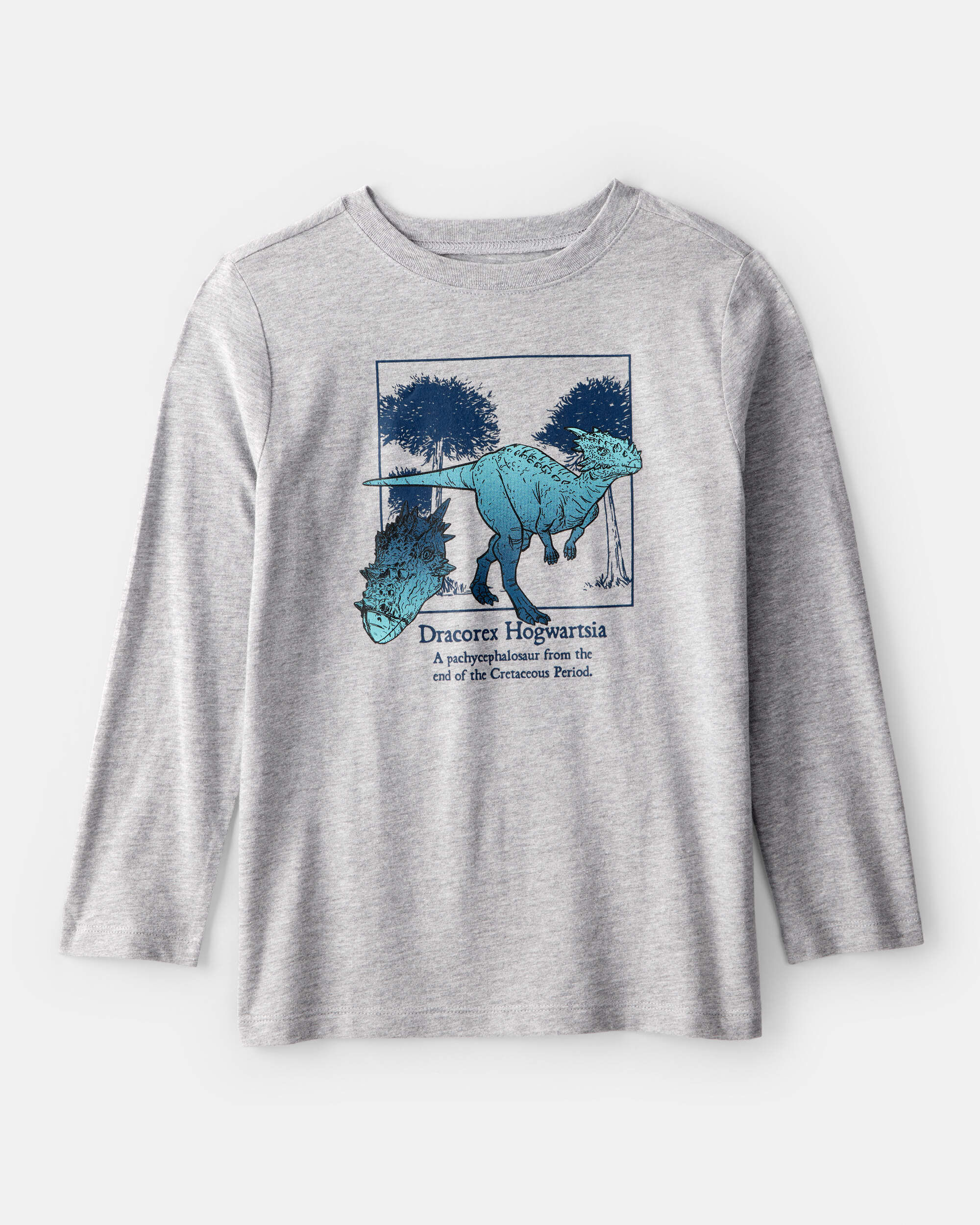 Kid Dino Rodeo Long-Sleeve Graphic Tee - Red - OshKosh