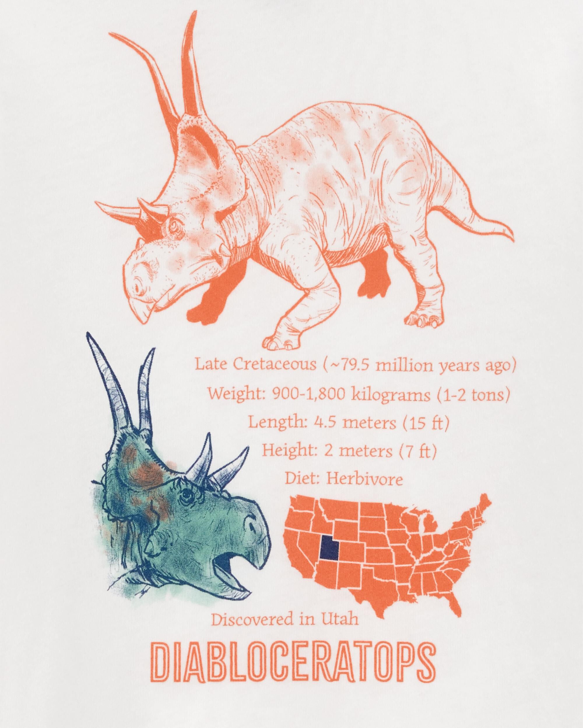 トップス BEAMS BOY Dinosaurs Tee BEAMS BOY（ビームスボーイ）の「Atlas Screen Printing