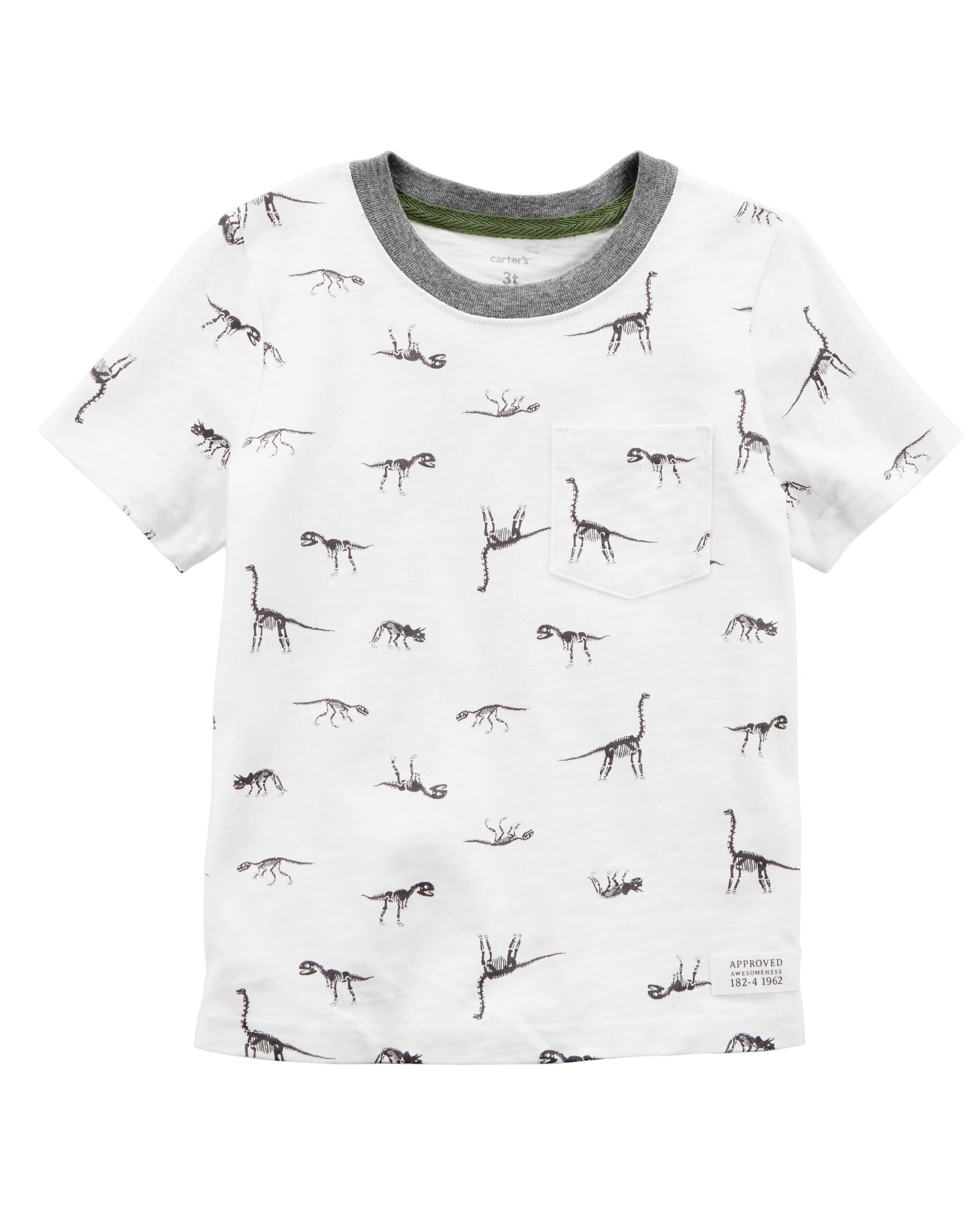 carters dinosaur shirt