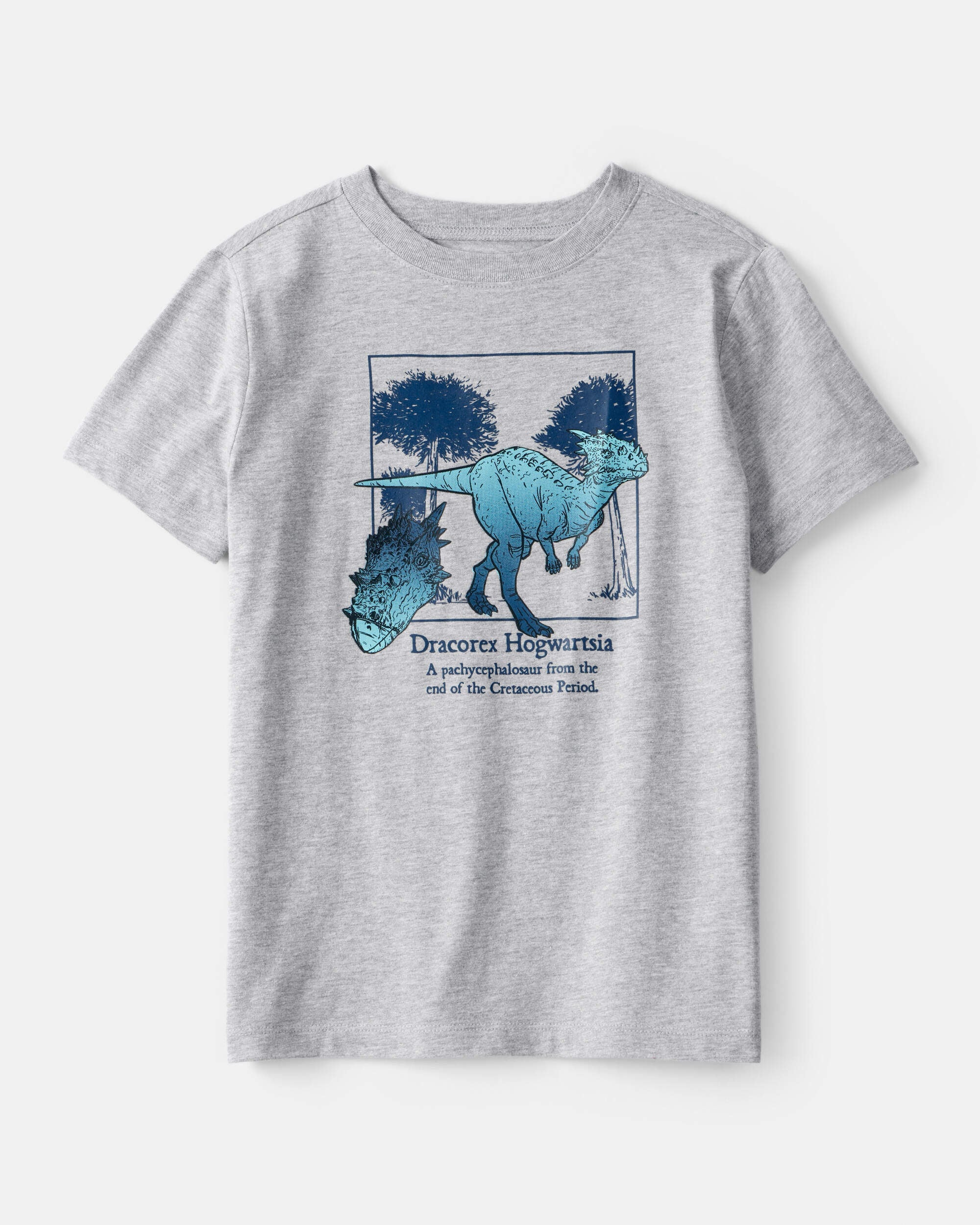 Carters boys dinosaur short-sleeve graphic tee L Grey 4$