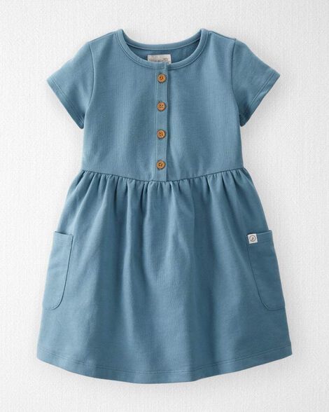 Toddler Organic Cotton Pocket Dress in Cottage Blue