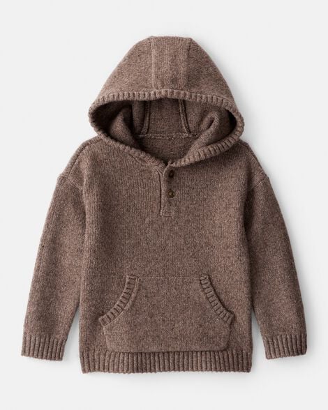 Toddler Boy Long-Sleeve Hooded Sweater - Brown