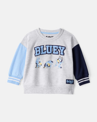 Product image 1 of Baby Boy Bluey Colorblock French Terry Sweatshirt - Grey