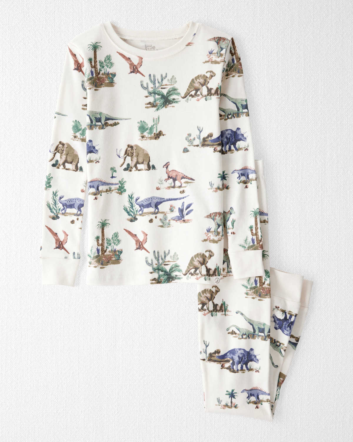 Kid Dinosaur Print Organic Cotton 2-Piece Pajamas - Little
