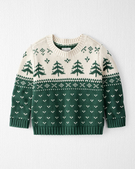 Toddler Organic Cotton Fair Isle Sweater Knit Pullover