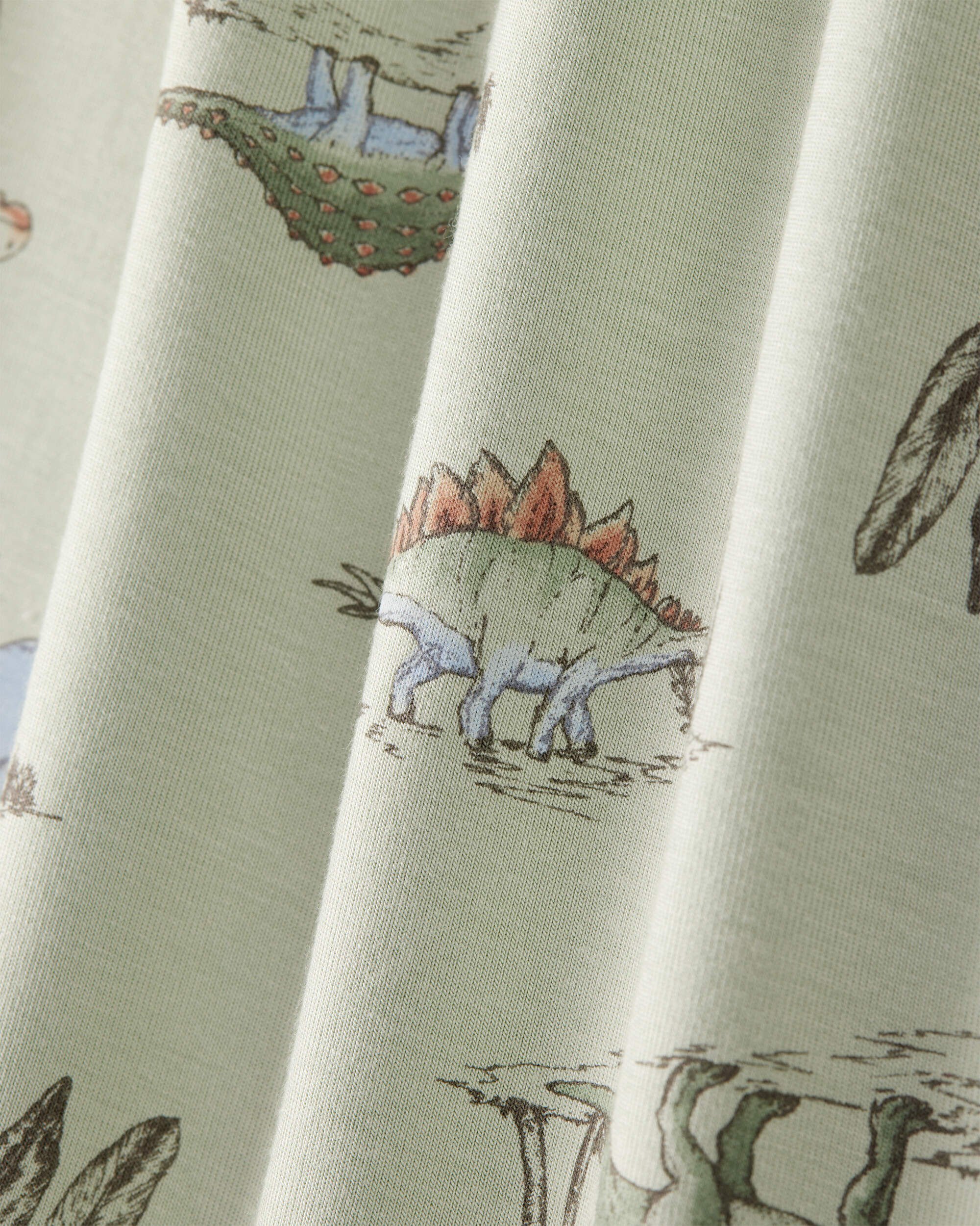Toddler Boy Dinosaur Print PurelySoft Long-Sleeve 2-Piece Pajamas - Green