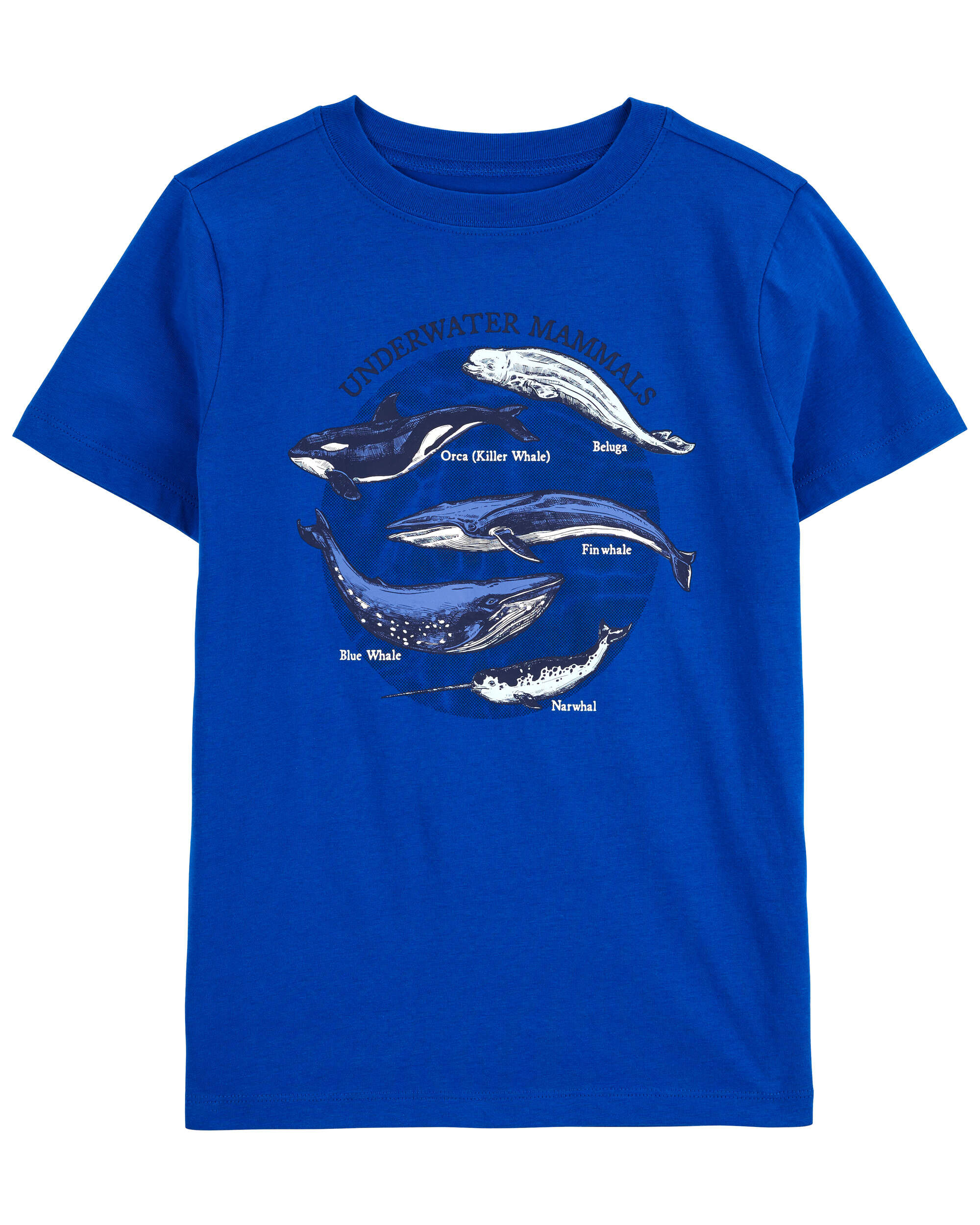 【CPGN STUDIO】25SS★ Ocean Whale Short Sleeve Tee MUSINSA | CPGN STUDIO Ocean Whale Short Sleeve Tee Teal Blue