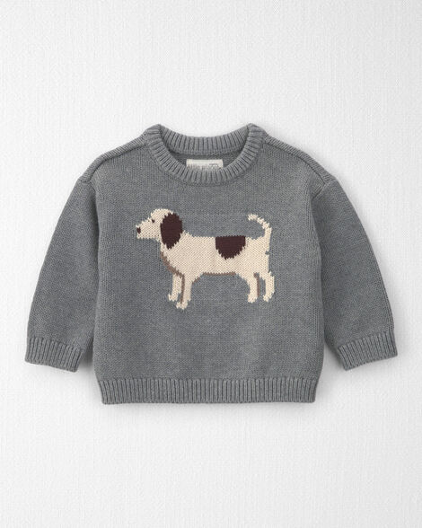 Baby Organic Cotton Dog Sweater Knit Pullover