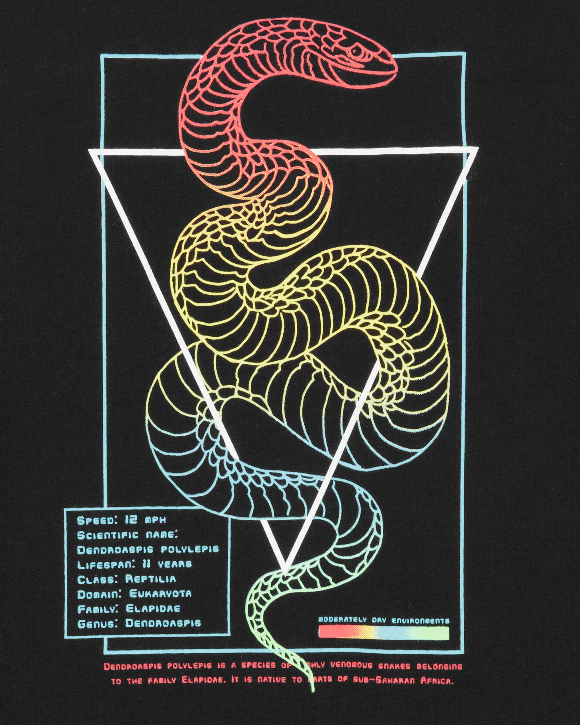 Kid Snake Short-Sleeve Graphic Tee - Black - OshKosh | Carter's