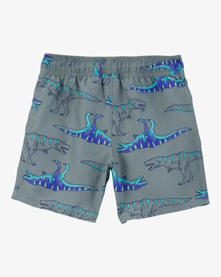 Product image 2 of Kid Dinosaur Swim Trunks - Grey