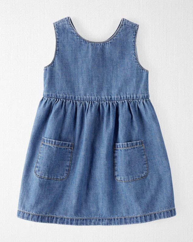 Product image 1 of Toddler Organic Cotton Chambray Dress
